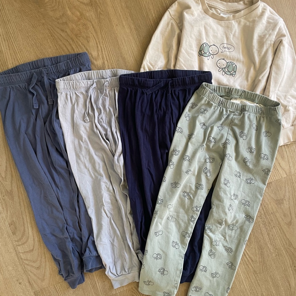 H&M Organic Cotton Turtle Sweatshirt & Pants Bundle 4T